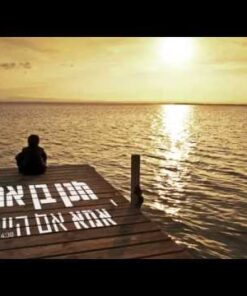 אמא אם הייתי - חנן בן ארי