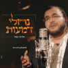 נחלי דמעות - שלומי מאיר