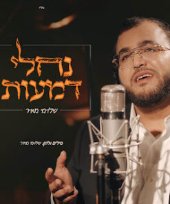 נחלי דמעות - שלומי מאיר