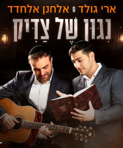 ניגון של צדיק| ארי גולד & אלחנן אלחדד